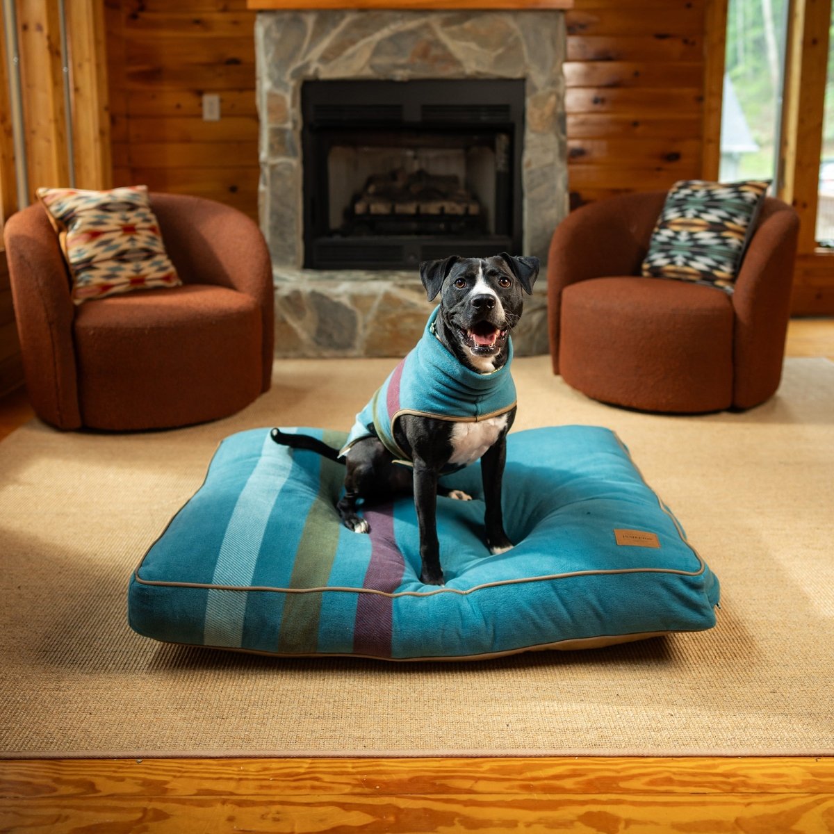 Pendleton Dog Vest - apparel, Cabin Stripe, and Coats