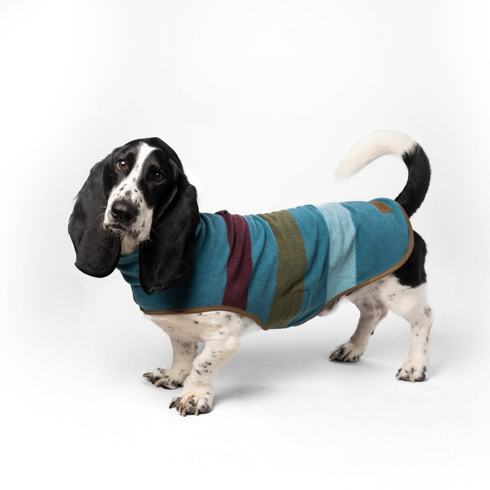 Pendleton Dog Vest