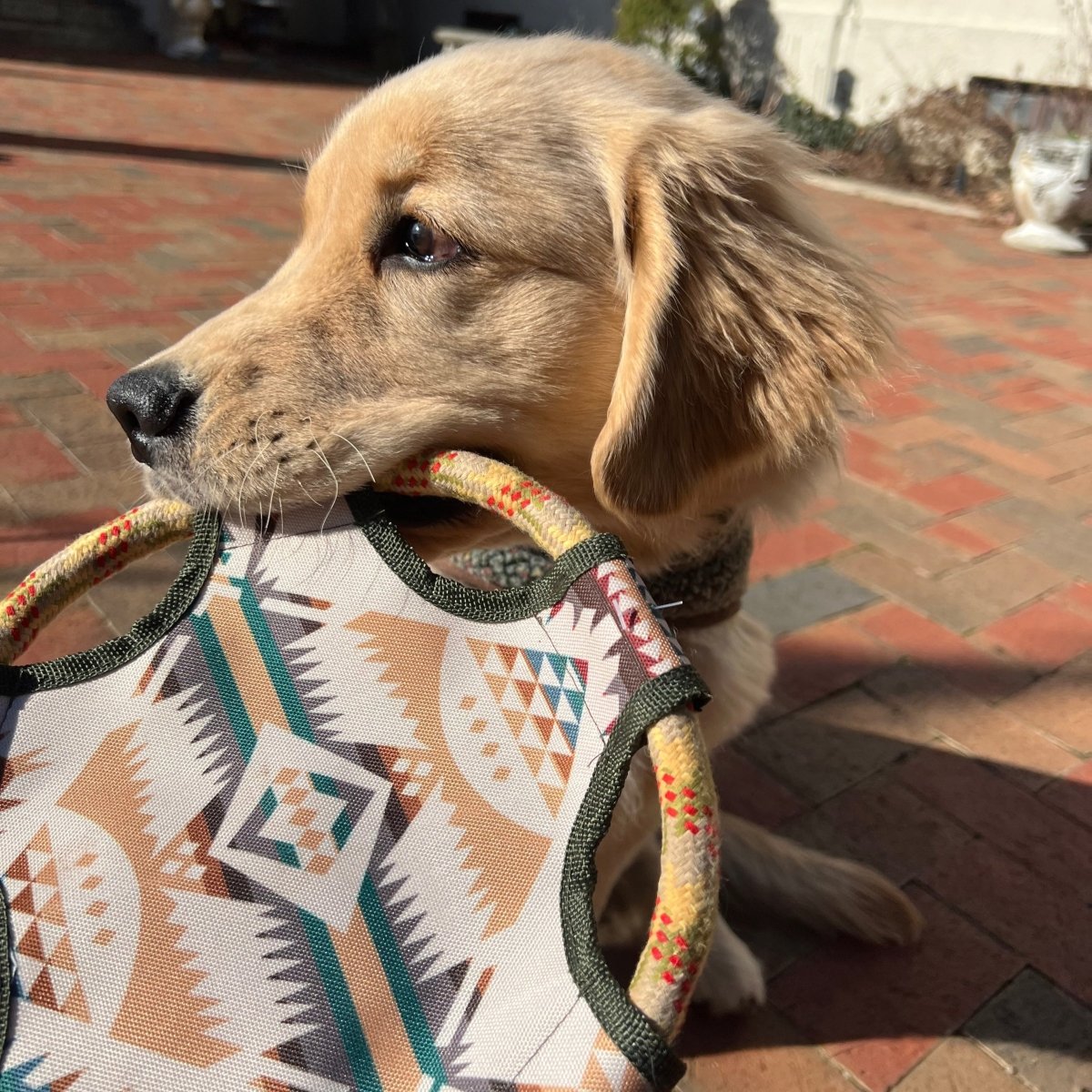 Pendleton Flying Disc Rope Dog Toy - New, pendleton, and summer