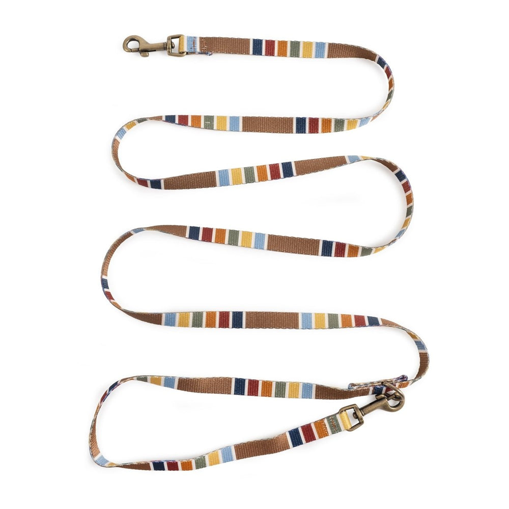 Pendleton National Park Adventure Leash