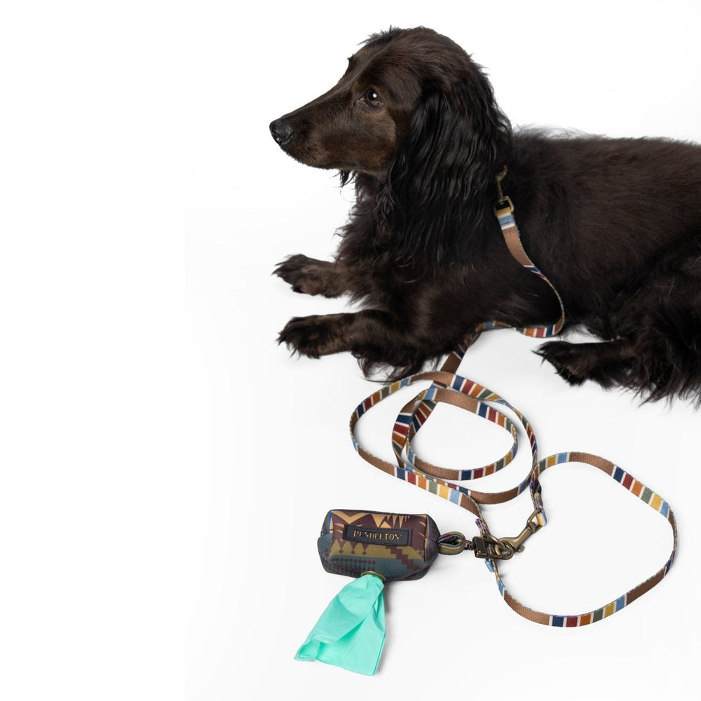 Pendleton National Park Adventure Leash