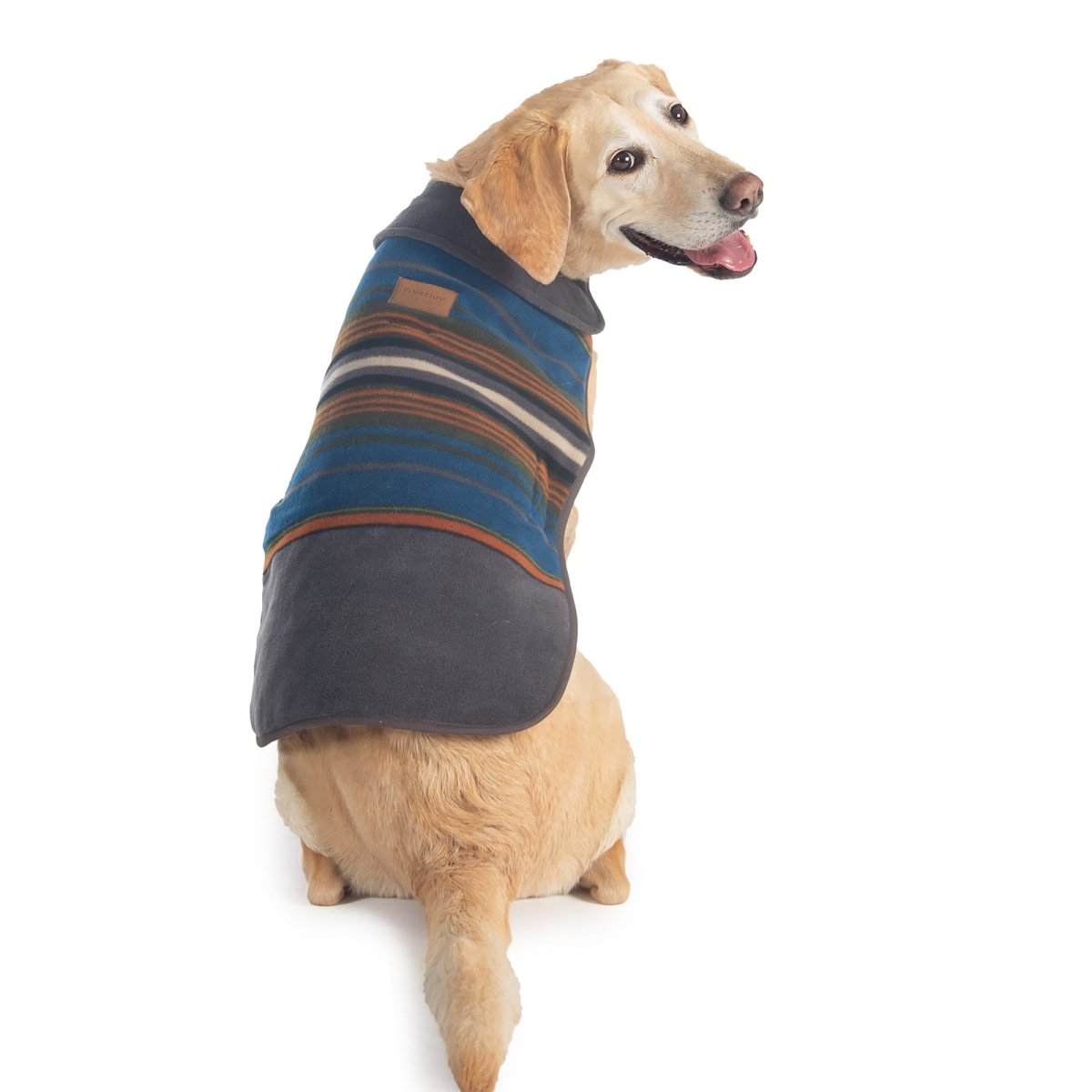 Coat &#8211; Olympic_dog