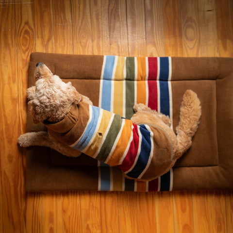 Pendleton National Park Comfort Cushion - Acadia, beds, and Grand Canyon