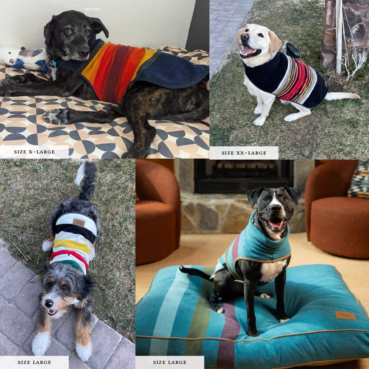Pendleton National Park Dog Vest - apparel, christmas - 2025, and Coats