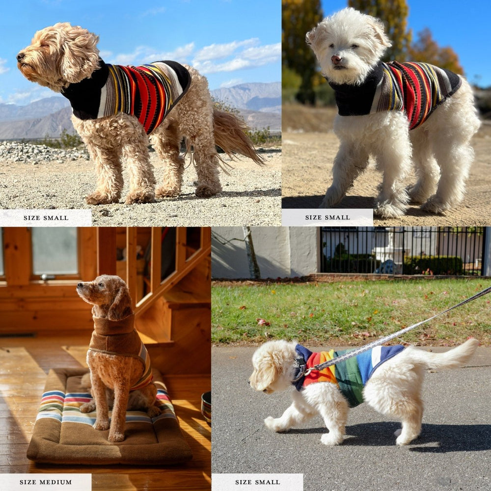 Pendleton National Park Dog Vest - apparel, christmas - 2025, and Coats