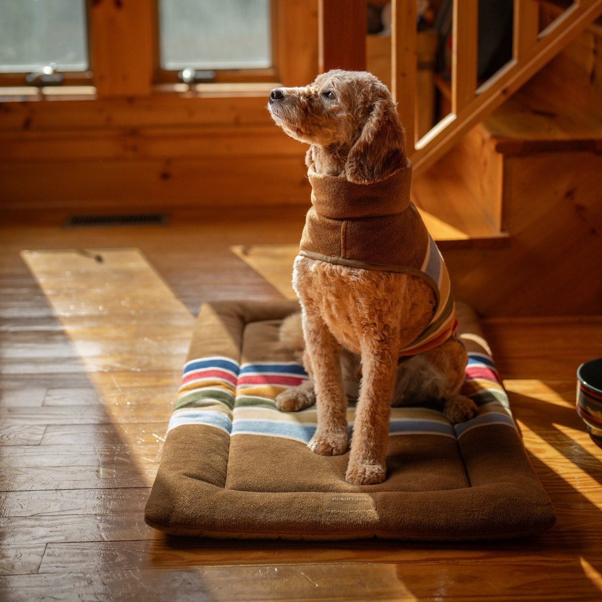 Pendleton National Park Dog Vest - apparel, Coats, and National Park