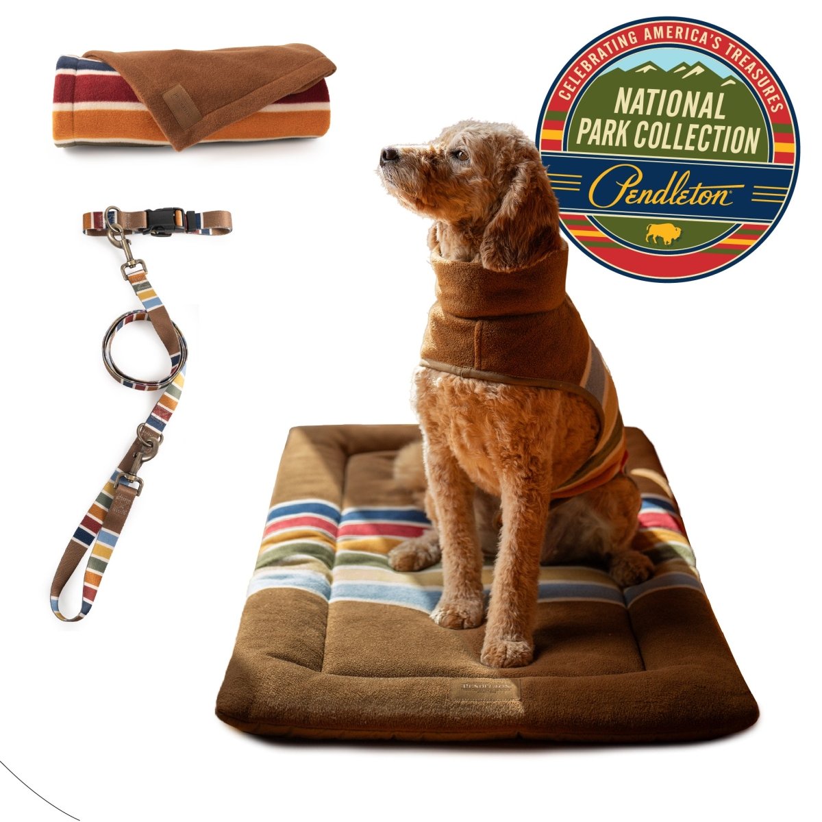 Pendleton National Park Pet Bundle - black - friday - 2025, Gift Bundle, and pendleton
