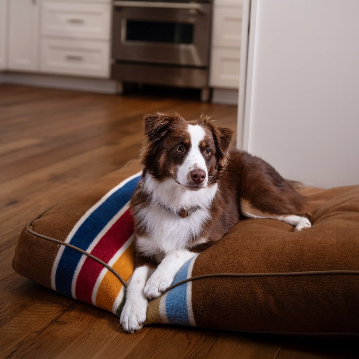 Pendleton National Park Pet Napper – Carolina Pet Co.