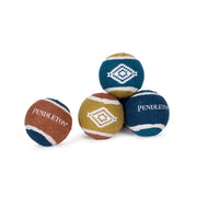 Pagosa Springs Tennis Ball Pack