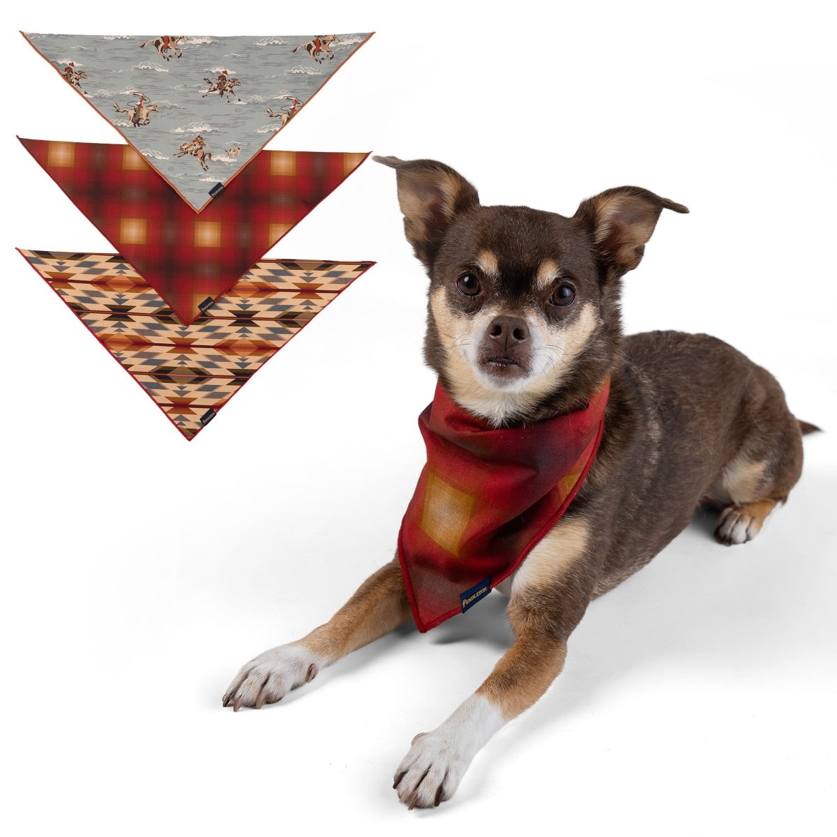 Pendleton Pet Bandana Multipack - Gift Idea, New, and pendleton