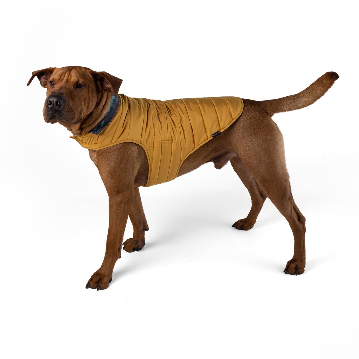 Pendleton Pet Puffer Coat - apparel, Coat, and Coats