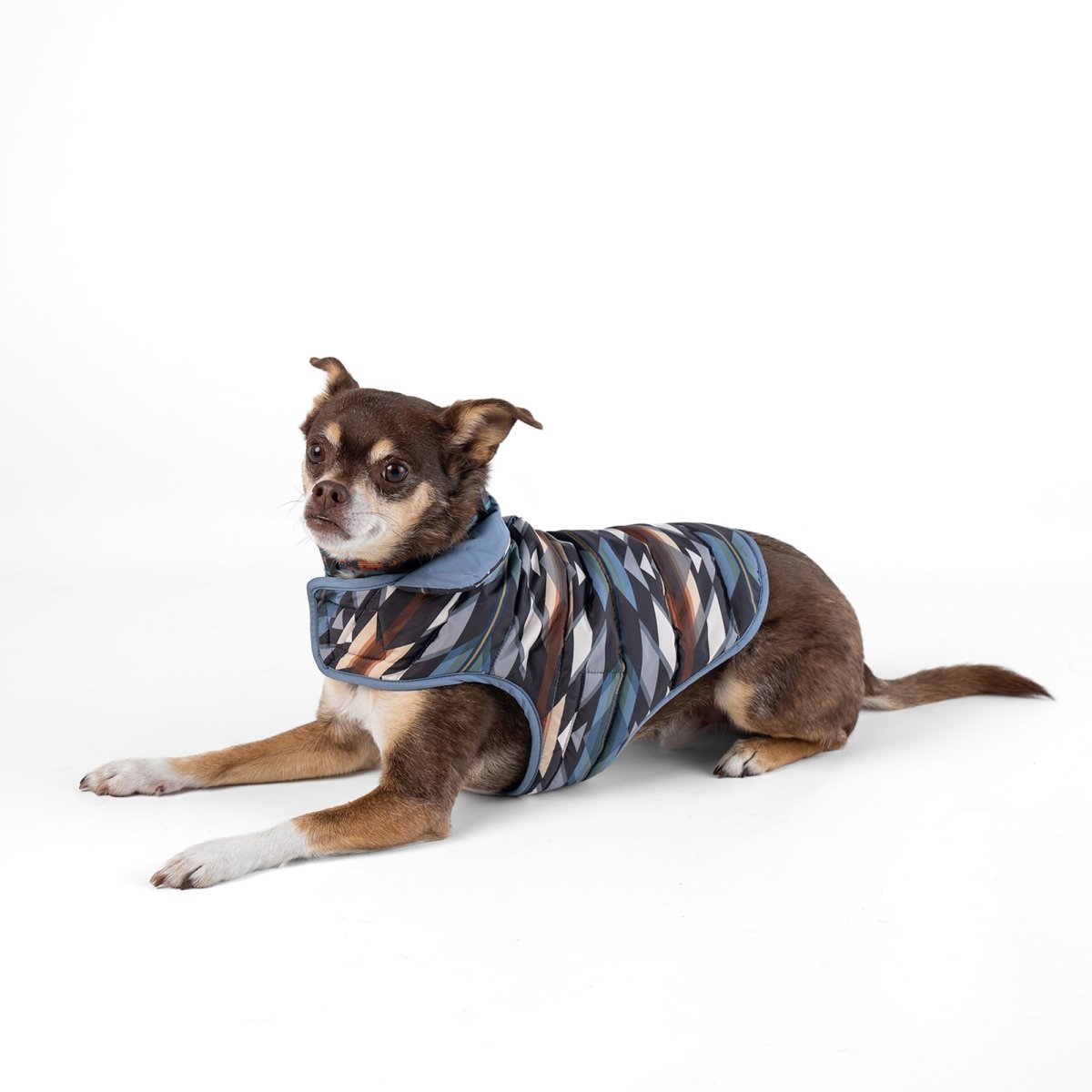 Pendleton Pet Puffer Coat - apparel, Coat, and Coats