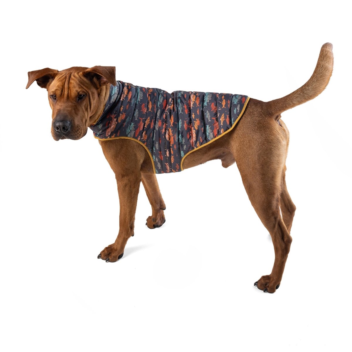 Pendleton Pet Puffer Coat - apparel, Coat, and Coats