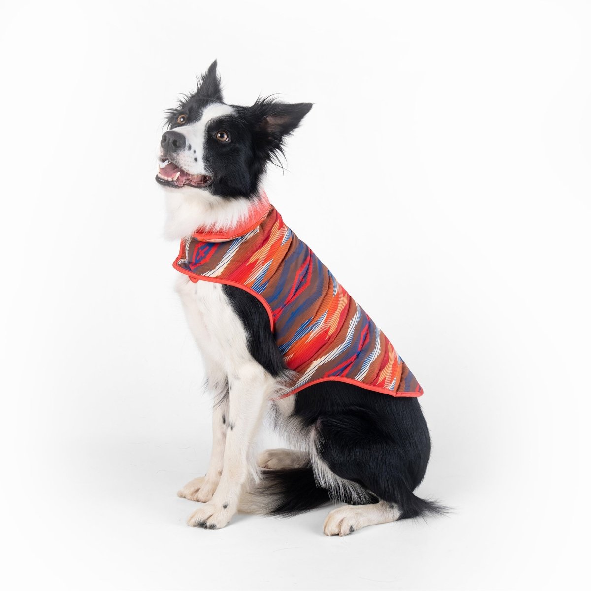 Pendleton Pet Puffer Coat - apparel, Coat, and Coats