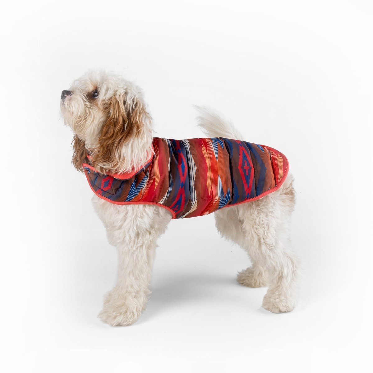 Pendleton Pet Puffer Coat - apparel, Coat, and Coats