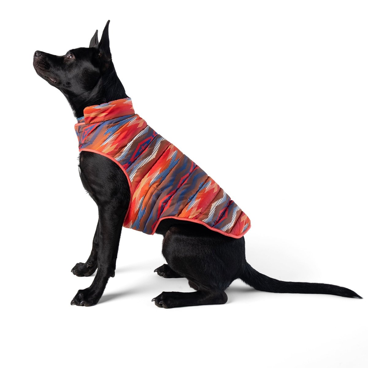 Pendleton Pet Puffer Coat - apparel, Coat, and Coats
