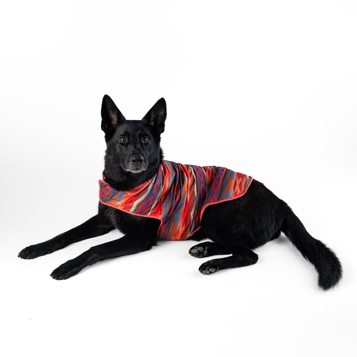 Pendleton Pet Puffer Coat - apparel, Coat, and Coats
