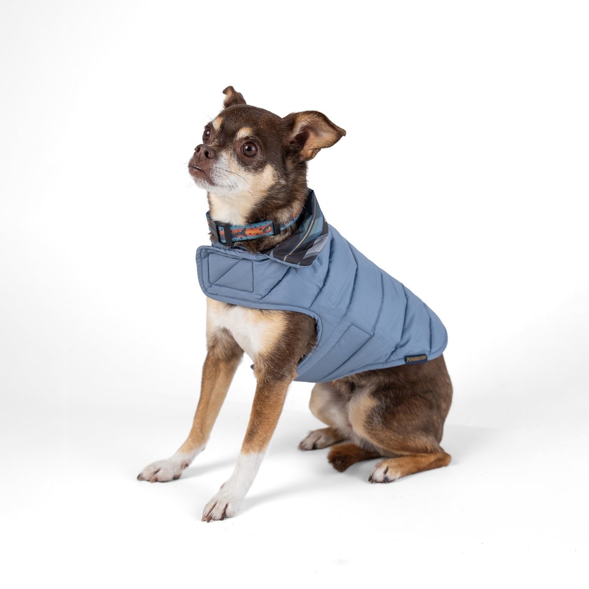 Pendleton Pet Puffer Coat - apparel, Coat, and Coats