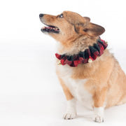 Jingle Collar McCormack_SQ