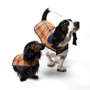 Pendleton Plaid Pet Coat - apparel, Block Plaid, and Coats