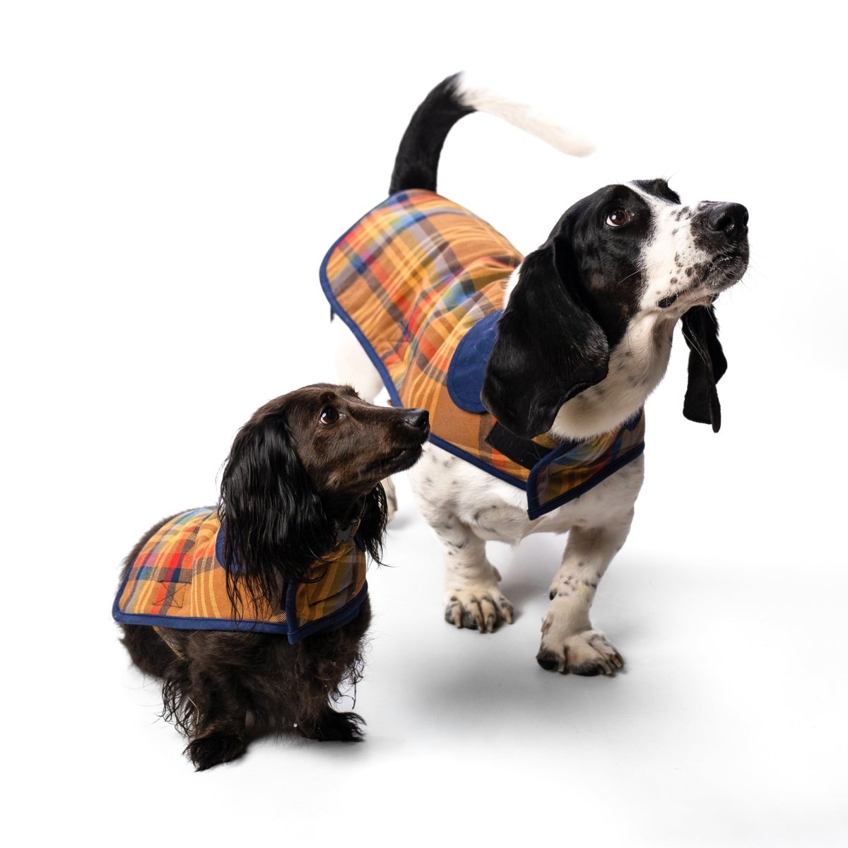 Pendleton Plaid Pet Coat - apparel, Block Plaid, and Coats
