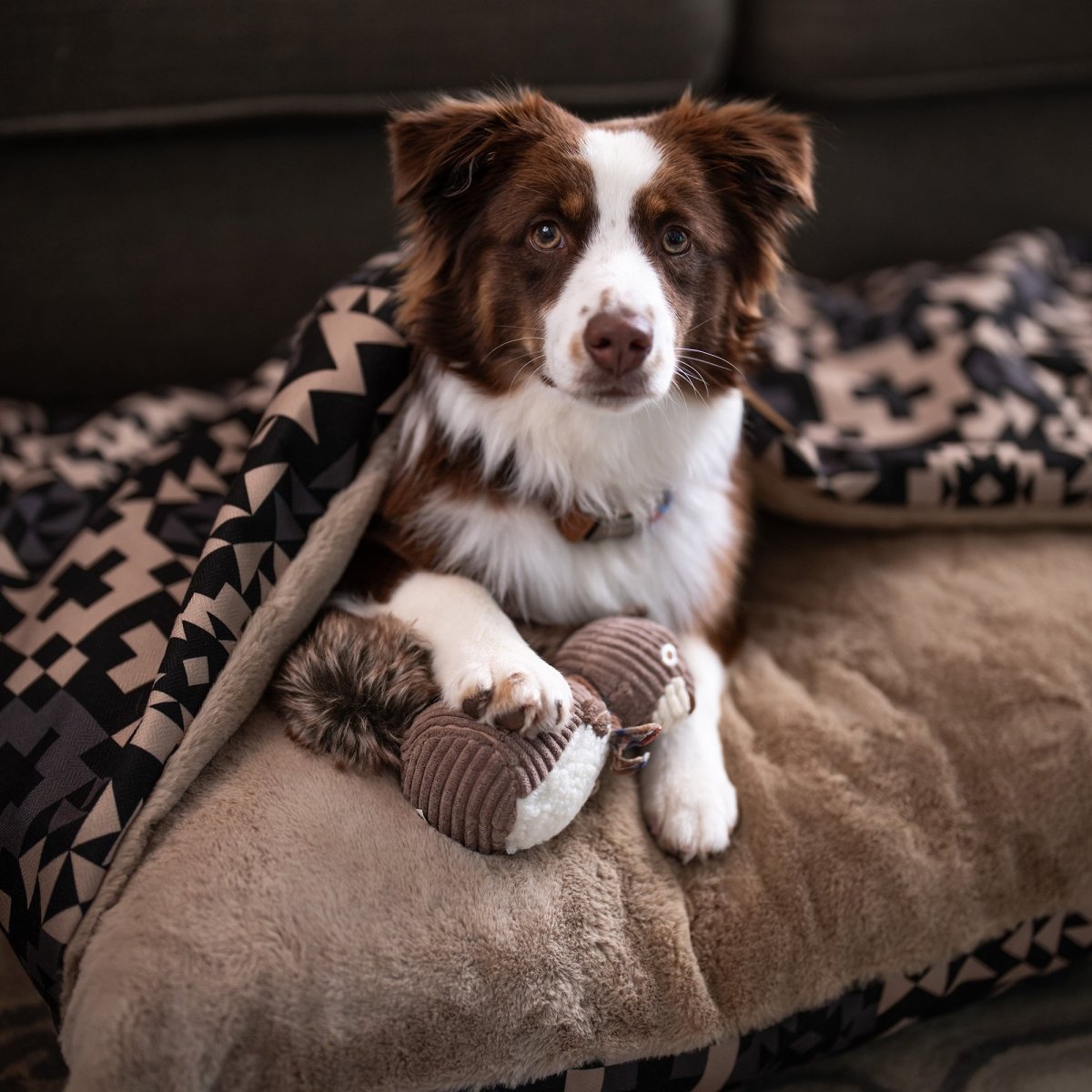 Pendleton Plush Squirrel Toy - Gift Idea, pendleton, and plush