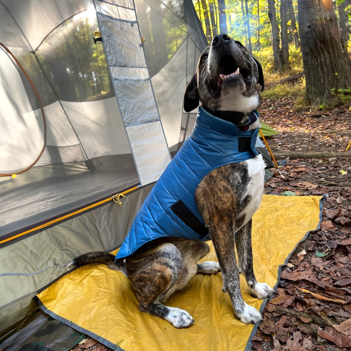 Puffer &#8211; Pagosa Springs_lifestyle