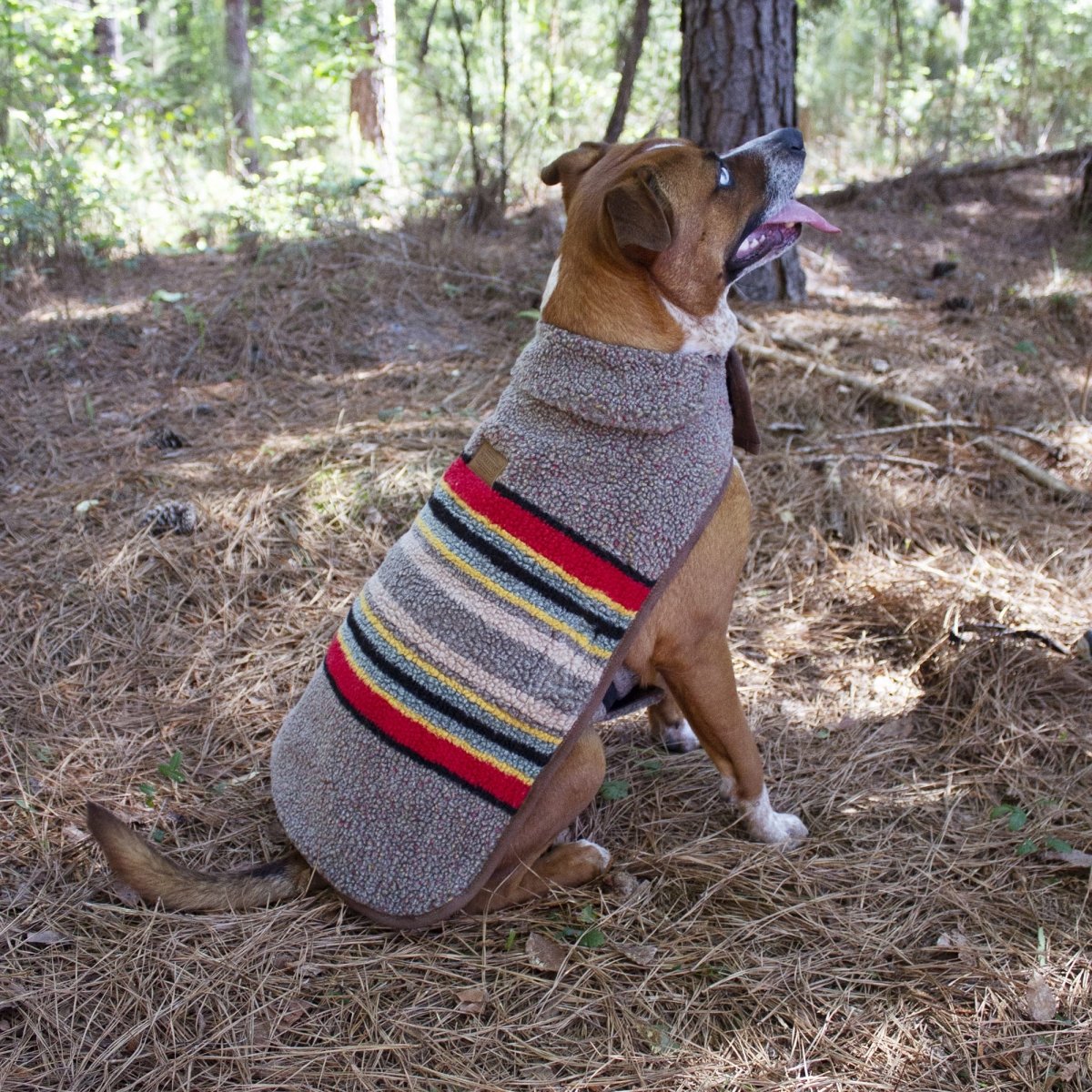 Pendleton Vintage Camp Dog Coat – Carolina Pet - Main Image