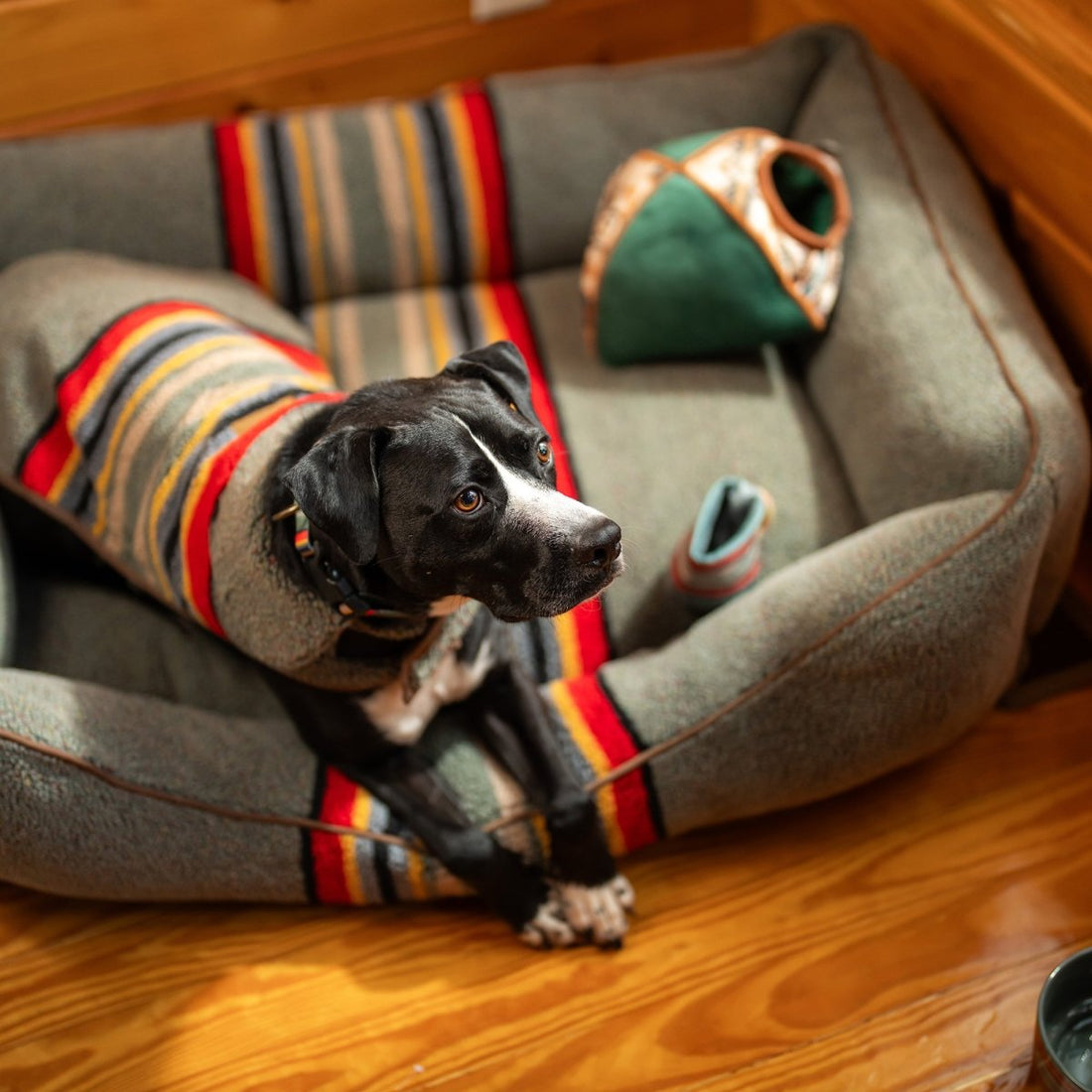 Pendleton Vintage Camp Berber Dog Coat - apparel, Coat, and Coats