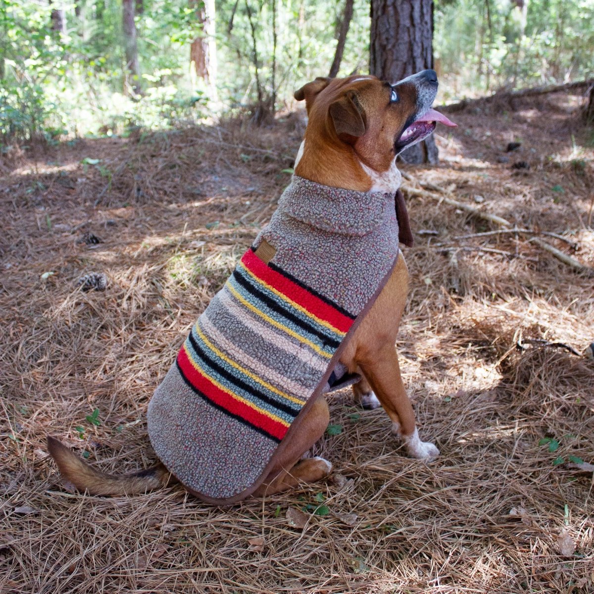 Pendleton Vintage Camp Dog Coat - apparel, Coats, and pendleton