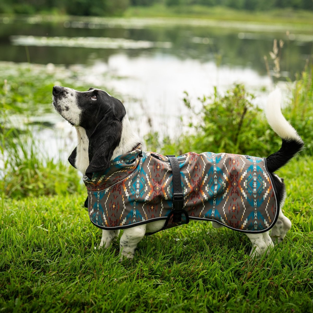 Pendleton Waterproof Adventure Pet Coat - New, pendleton, and Travel Gear