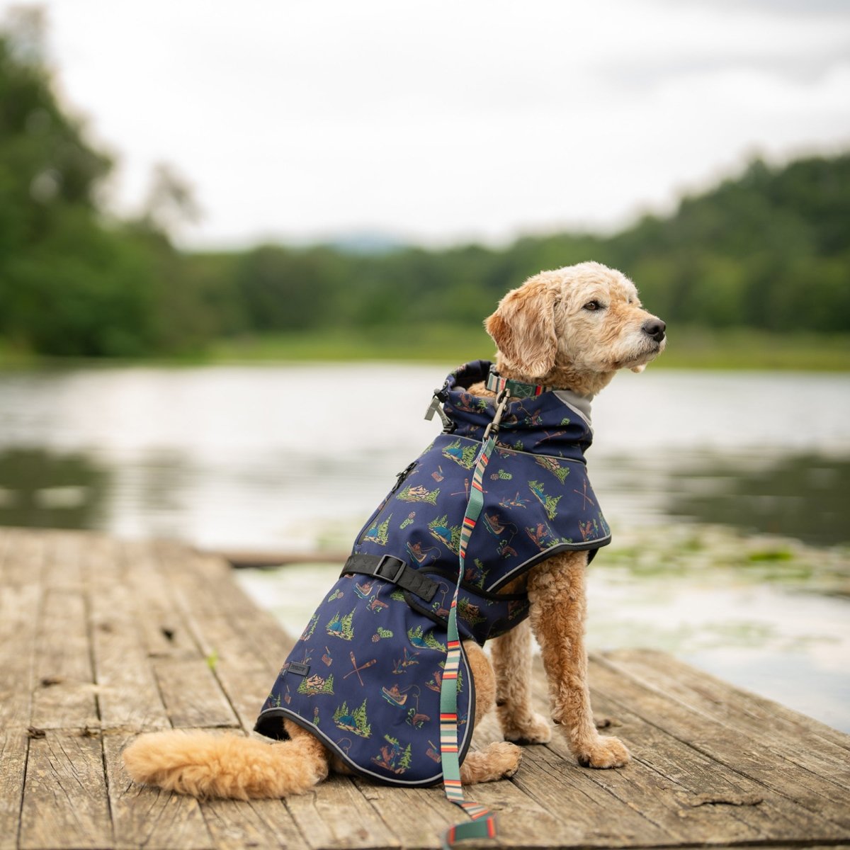 Pendleton Waterproof Adventure Pet Coat - New, pendleton, and Travel Gear