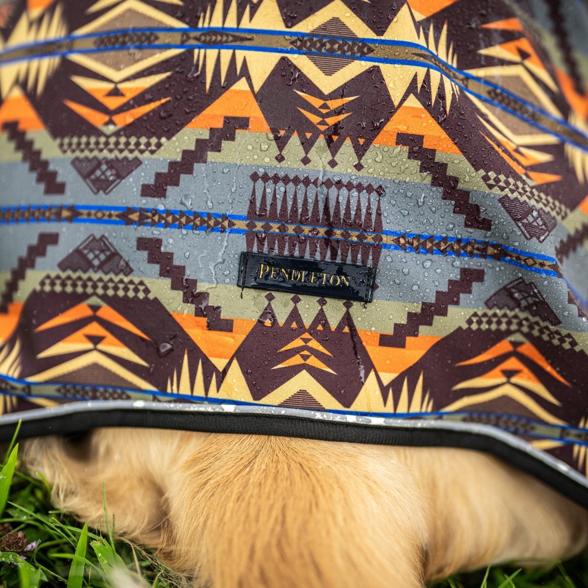Pendleton Waterproof Adventure Pet Coat - New, pendleton, and Travel Gear
