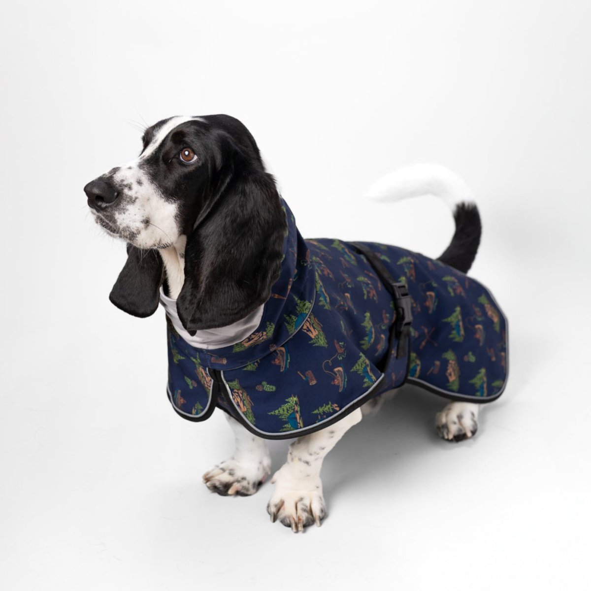 Dog wearing a navy blue coat with a pattern on a white background