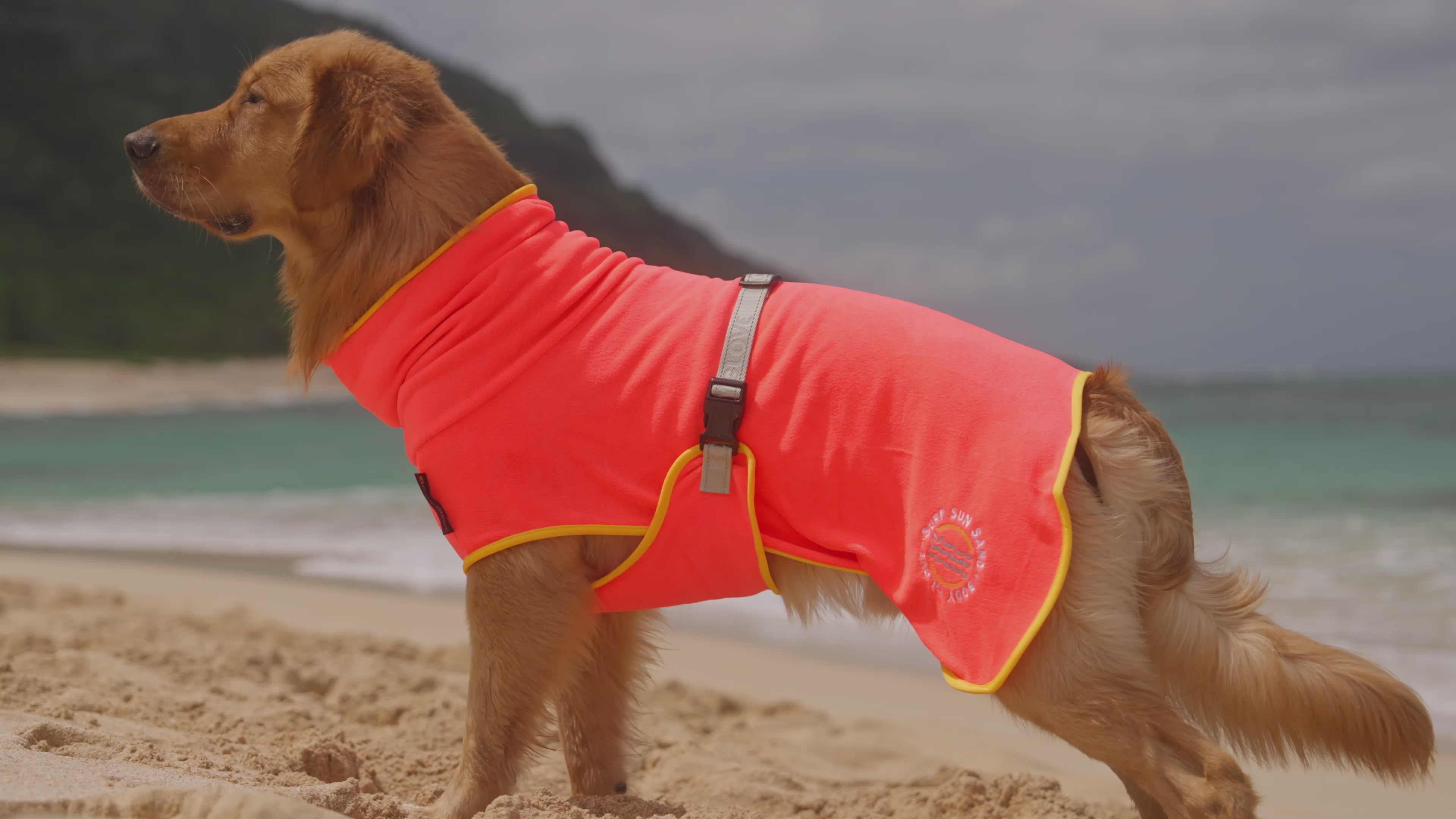 Load video: Body Glove Surf Pet Towel Robe