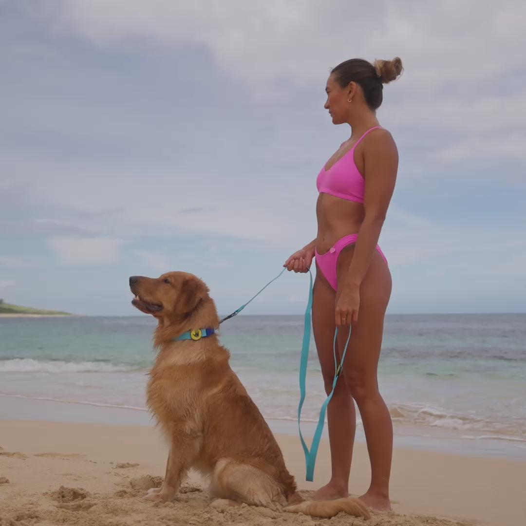 Load video: Body Glove Waterproof Dog Collar