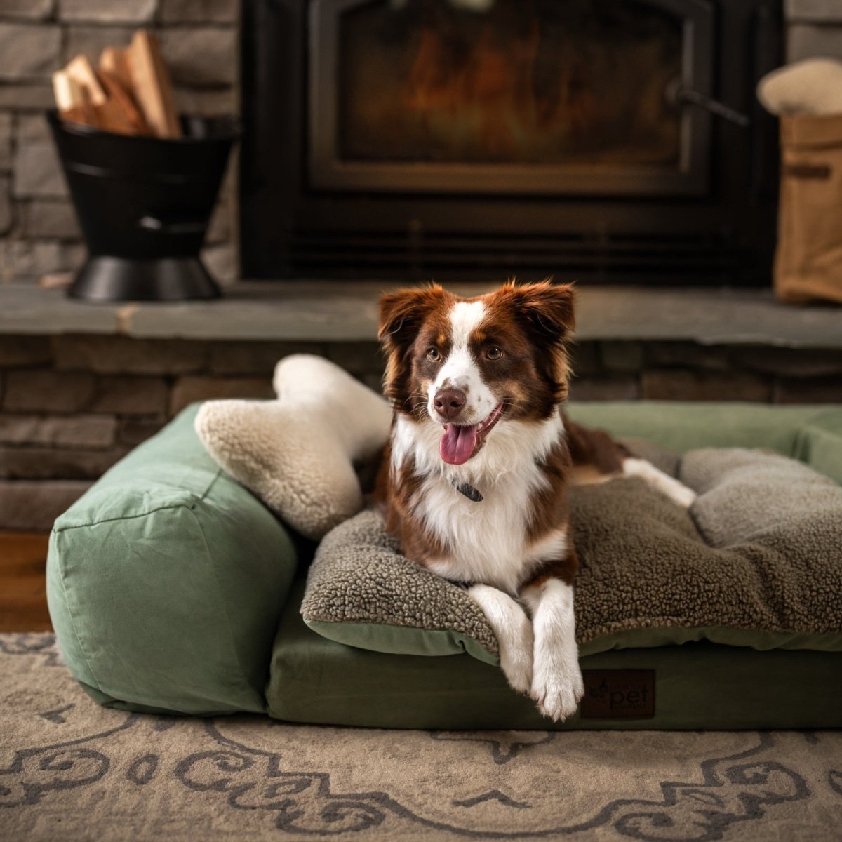 Dog lying on a green cushion in front of a fireplace