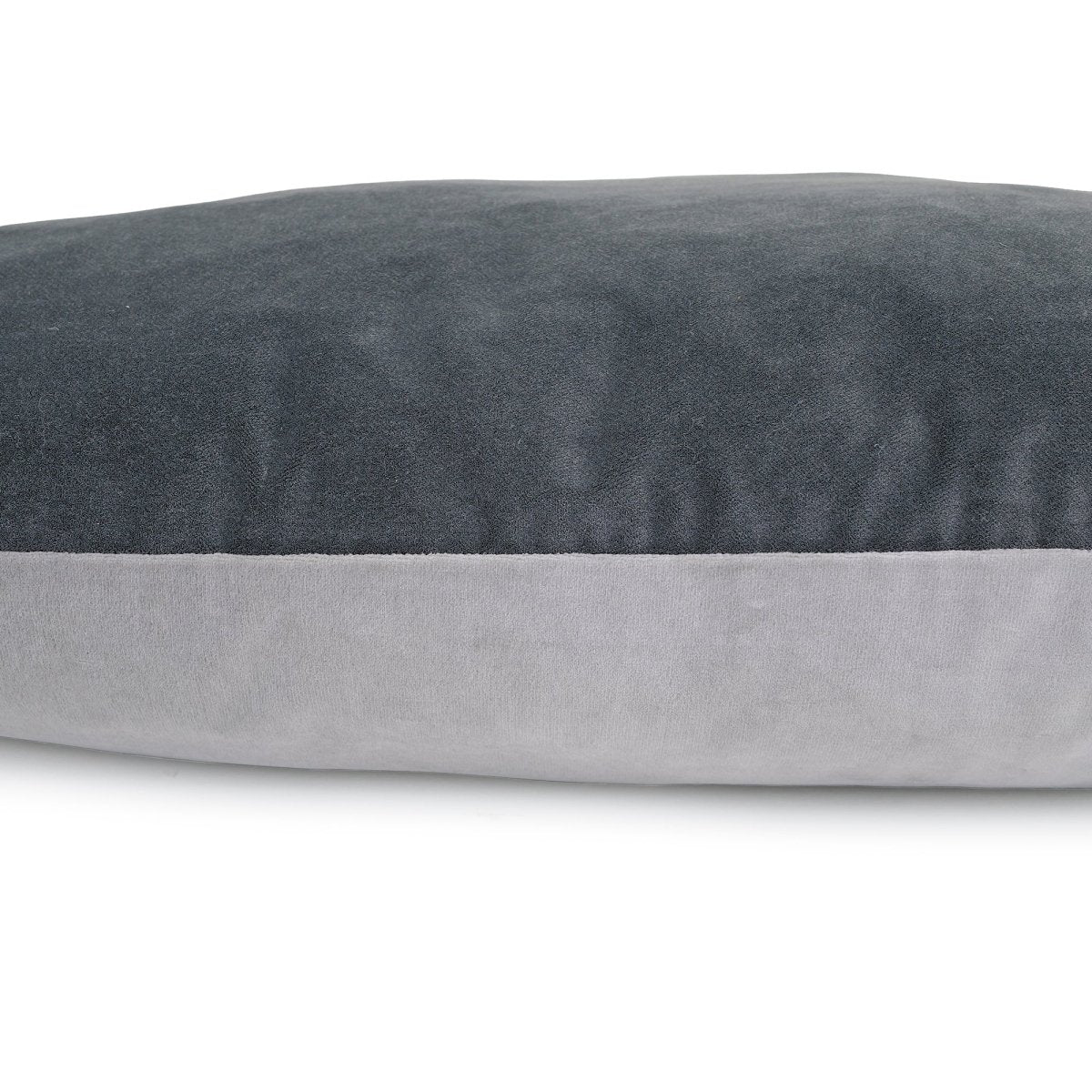 Renewed 2 Toned Pillow Bed - beds, black - friday - 2025, and Carolina Pet