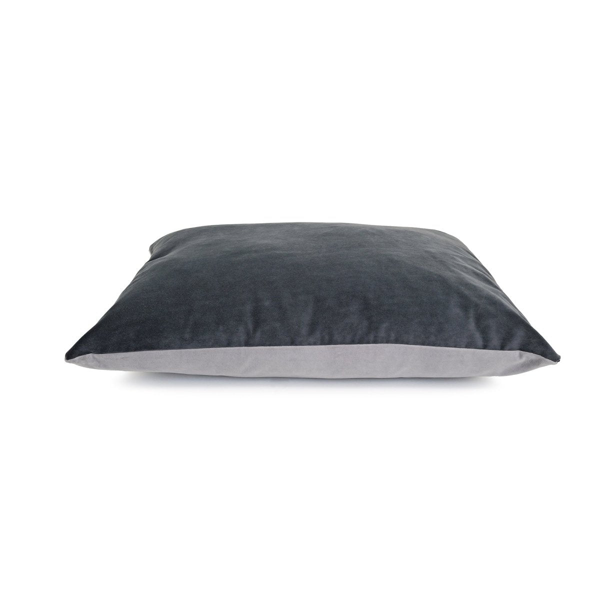 Renewed 2 Toned Pillow Bed - beds, black - friday - 2025, and Carolina Pet