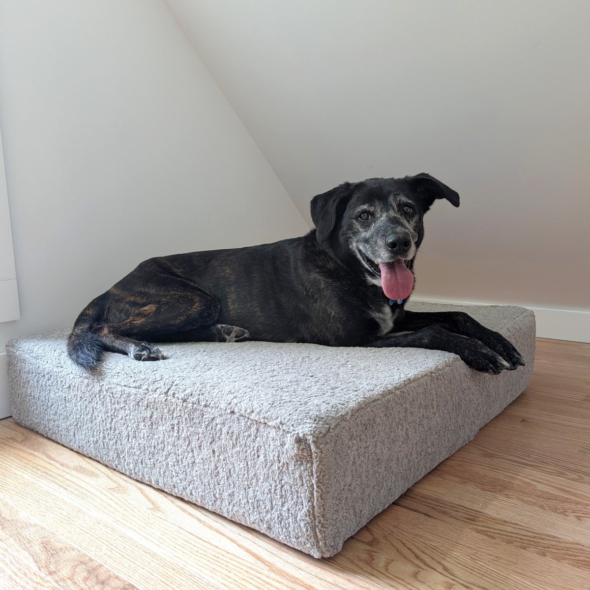 Renewed Orthopedic Foam Square Pet Bed - Renewed, , and