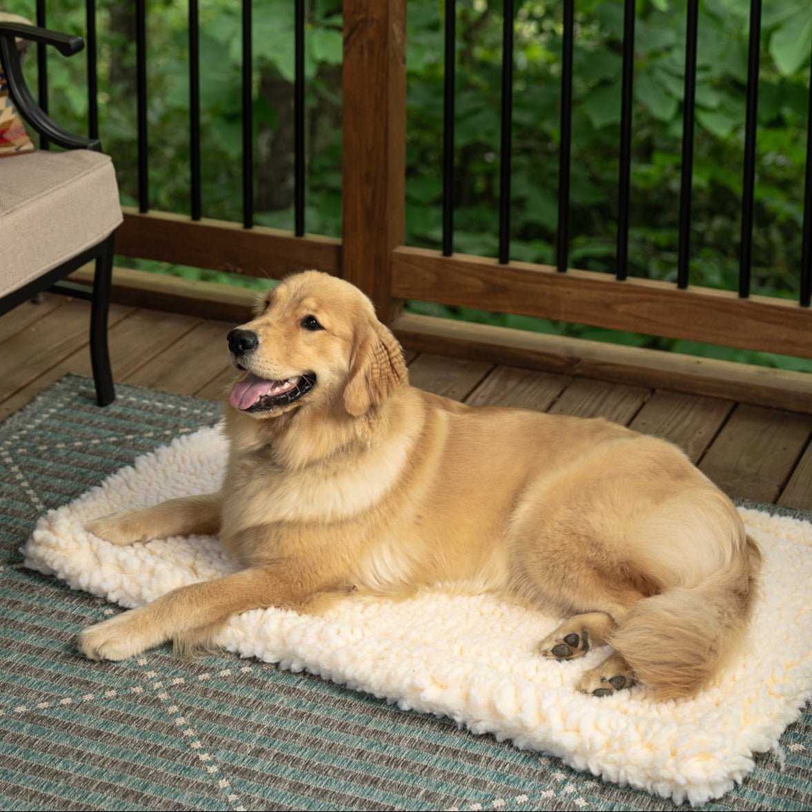 dog lying on a sherpa cushion on a patio