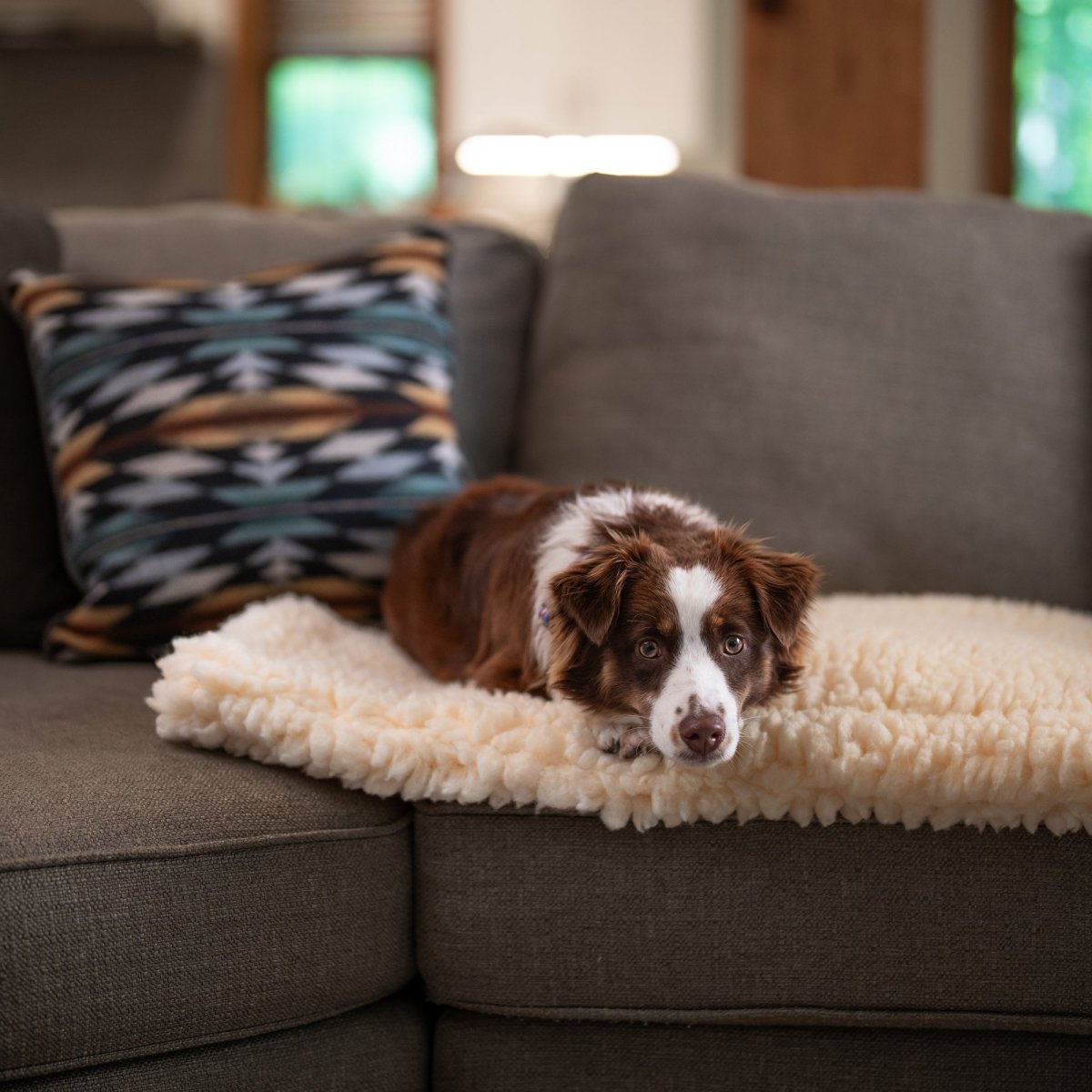 Sherpa Comfort Cushion - beds, Carolina Pet, and Comfort Cushion