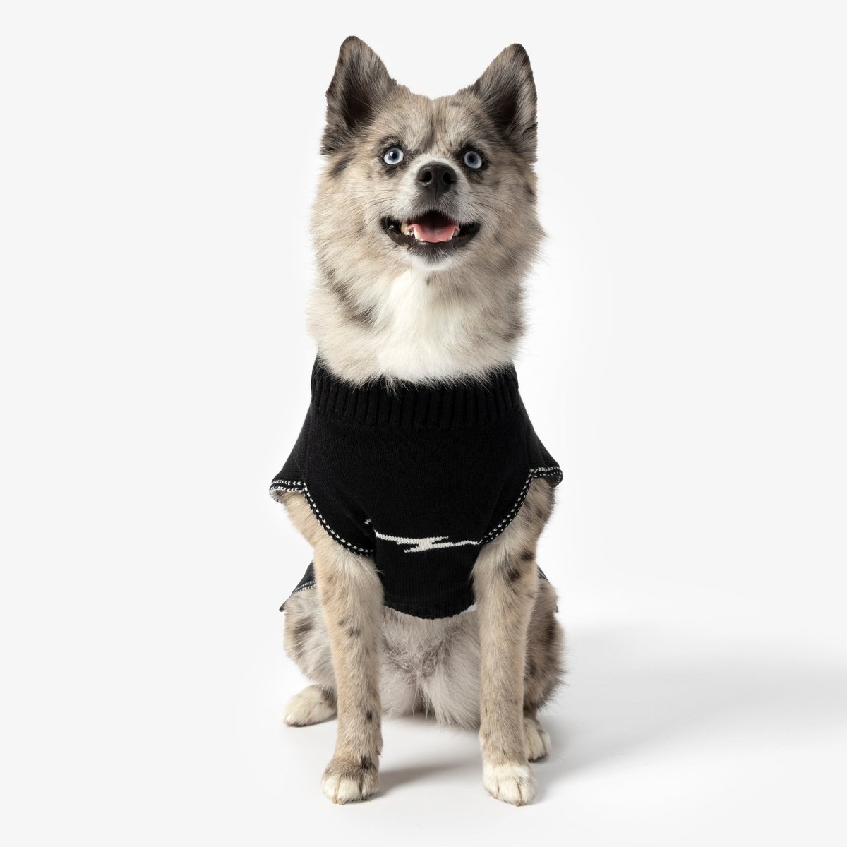 S0620268129_ShinolaPet_Sweater_BrandStripe_Black_V5_ALT_04
