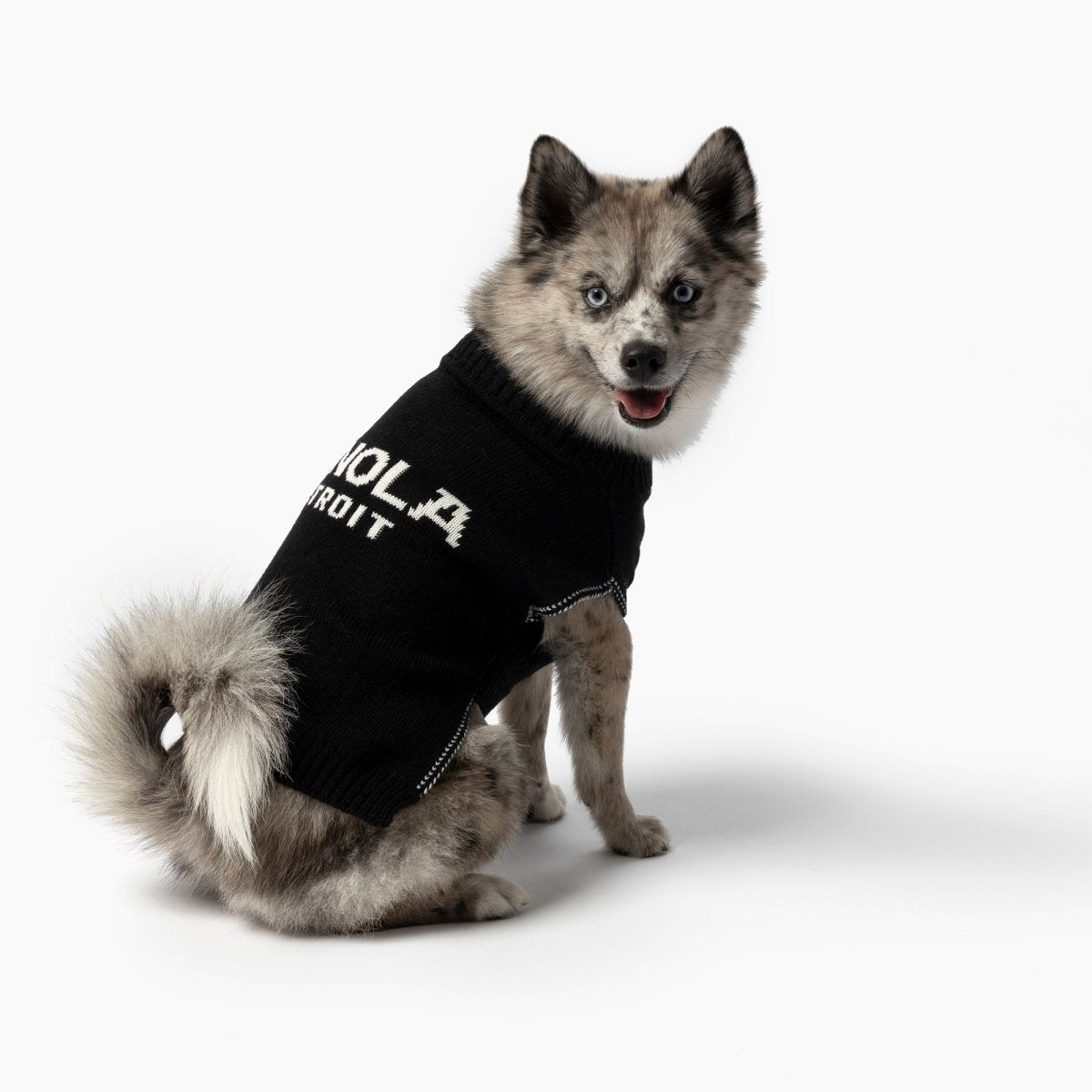 S0620268129_ShinolaPet_Sweater_BrandStripe_Black_LIFESTYLE_01