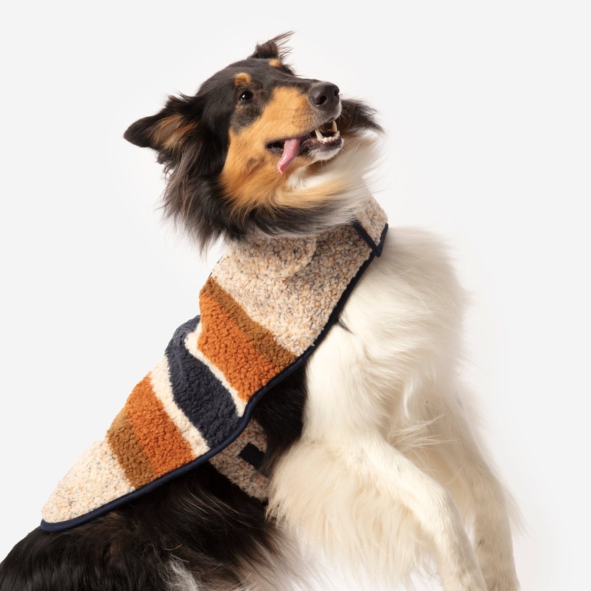 Shinola Brand Stripe Berber Dog Coat Oatmeal – Carolina Pet Co.