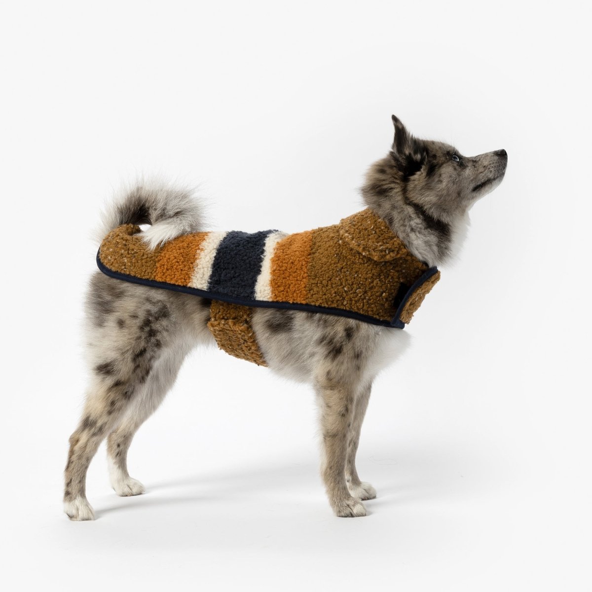 S0620268131_BerberCoat_BrandStripe_Rust_V5_ALT_04