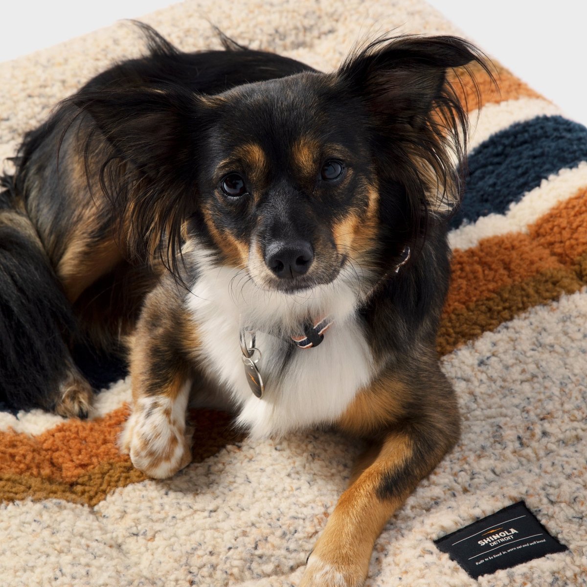 S0620251531_ShinolaPet_ComfortCushion_BrandStripe_Oatmeal_V4_ALT_03