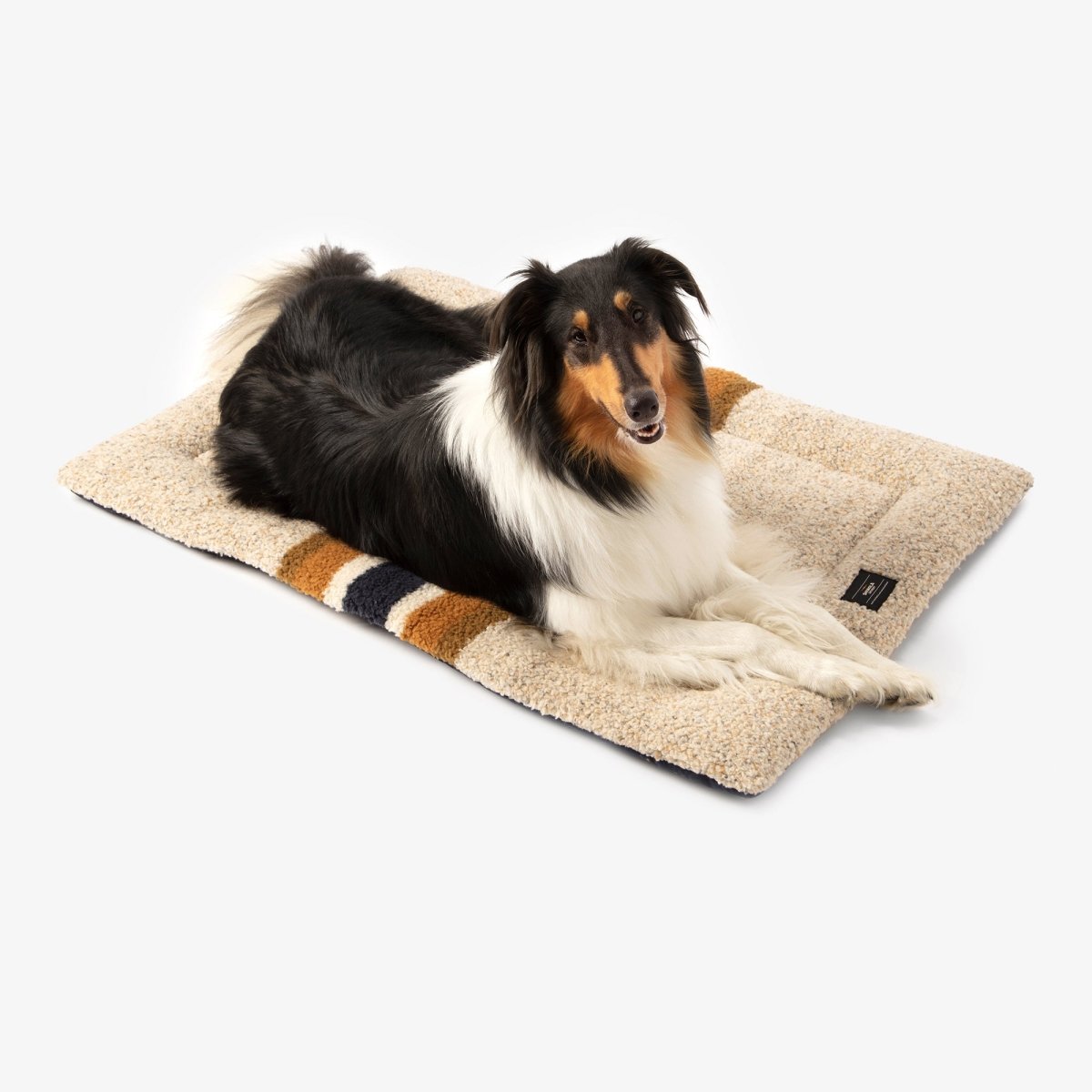 S0620251531_ShinolaPet_ComfortCushion_BrandStripe_Oatmeal_LIFESTYLE_01