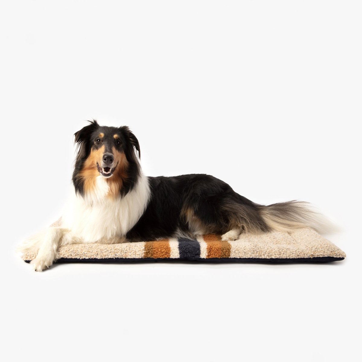 S0620251531_ShinolaPet_ComfortCushion_BrandStripe_Oatmeal_V5_ALT_04