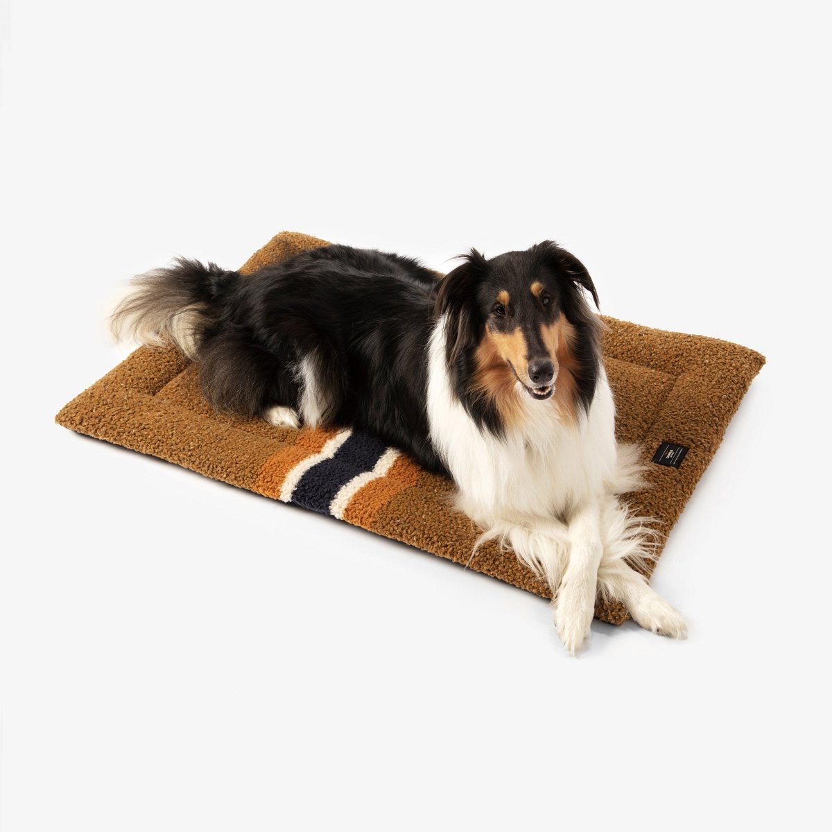 S0620251531_ShinolaPet_ComfortCushion_BrandStripe_Rust_LIFESTYLE_01